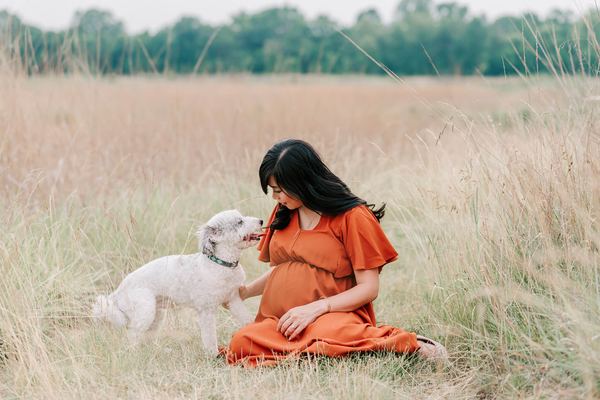 an expecting mother enjoying a sweet moment with her white puppy sitting in the grass