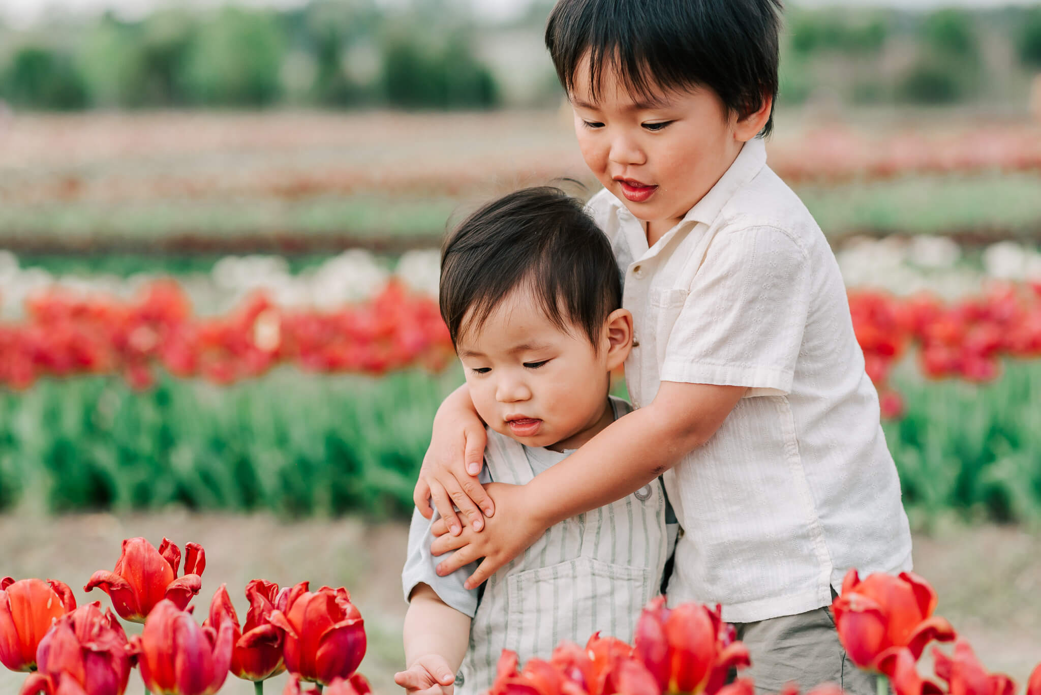 A young boy hugs his toddler brother as they adventure in a large flower garden things to do in fairfax