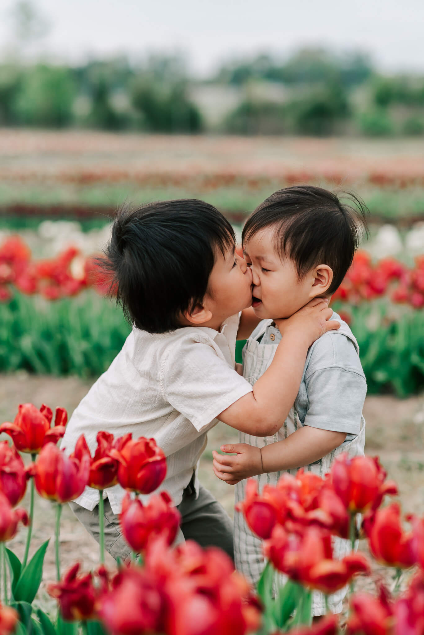 A young boy kisses the nose of his toddler brother while in a flower garden