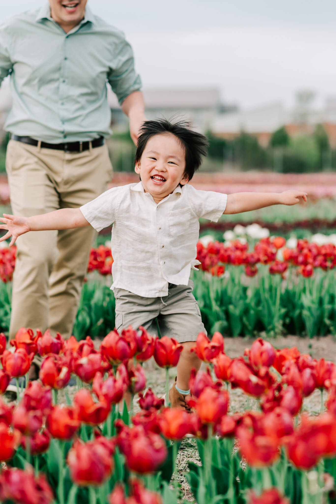 A young boy runs and plays in a tulip garden with dad chasing behind things to do in fairfax