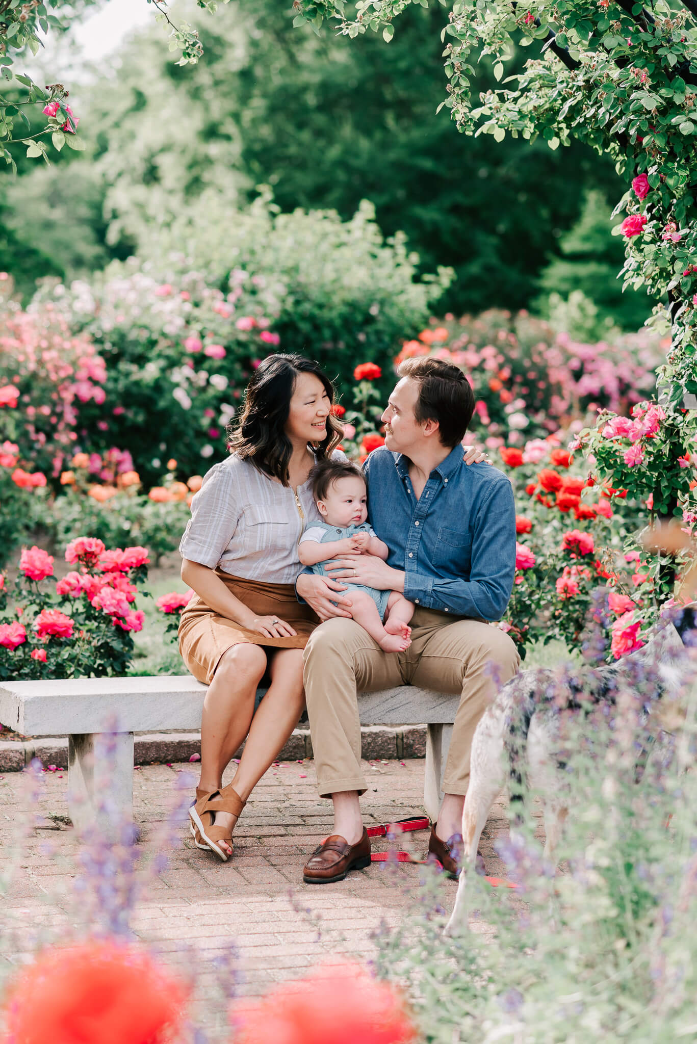 A mother and father sit in a vibrant rose garden on a marble bench with their infant child in their lap about women obgyn