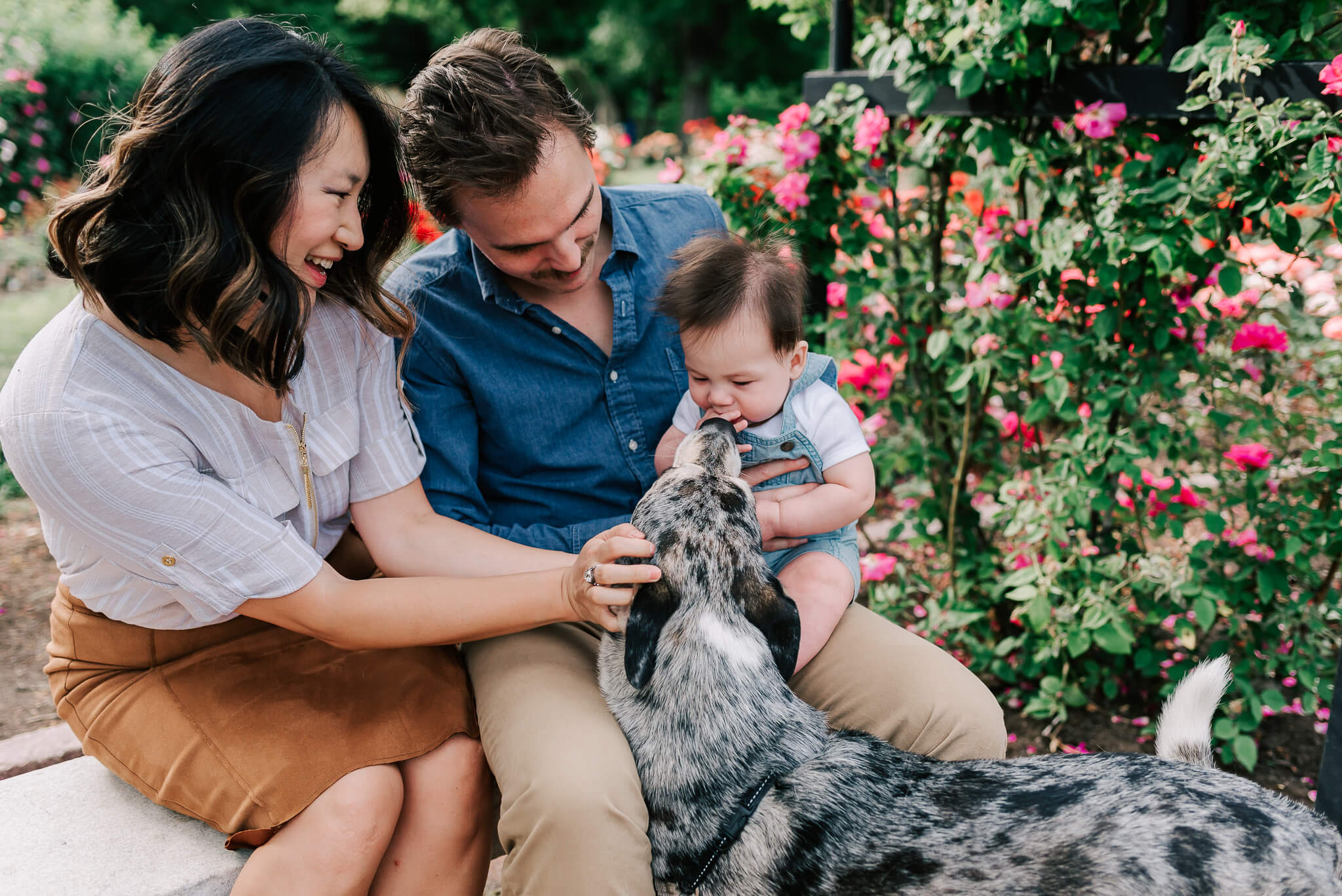 A mother and father sit on a stone garden bench with their infant in dad's lap while their grey dog says hello to the infant wearing overalls after a visit to about women obgyn