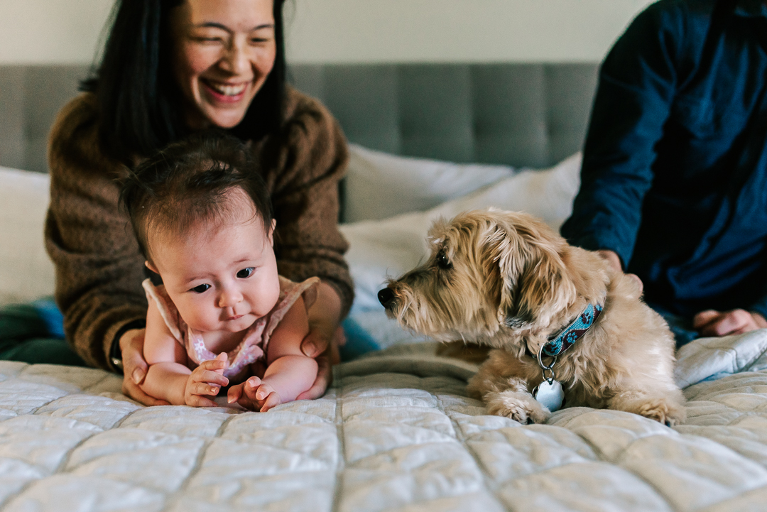 A happy mom holds her newborn baby on a bed while their small dog investigates the baby after visiting loolous