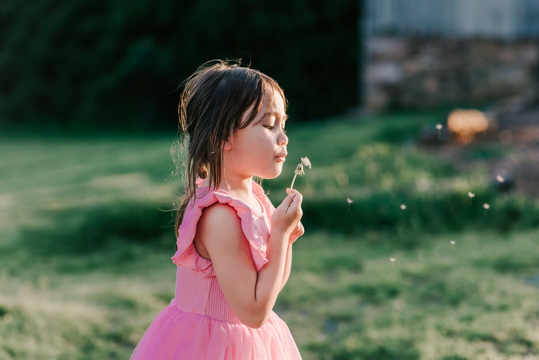 A toddler girl blows a dandelion in a field at sunset while wearing a pink dress after some family therapy northern virginia