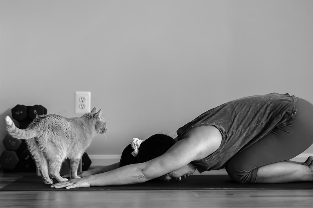 woman in child's pose on a yoga mat with her cat watching doing gentle yoga for nervous system regulation